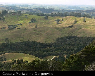Cesta z Muriwai na Dargenville